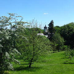 Blick auf Schloss Rabenstein von  der Wurzelschänke