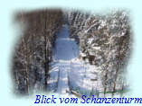 Blick vom Schanzenturm